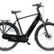 Batavus