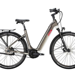 Collection image for: E-Bikes