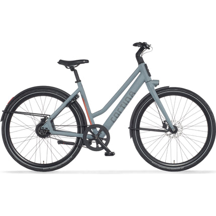kleur:Squirrel Grey Matte