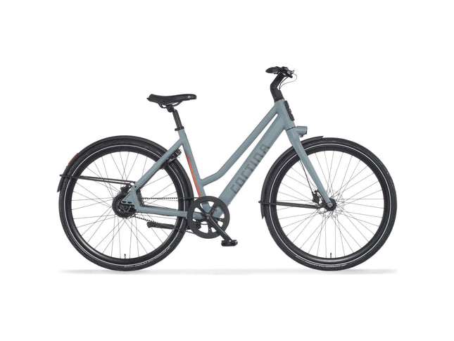 kleur:Squirrel Grey Matte