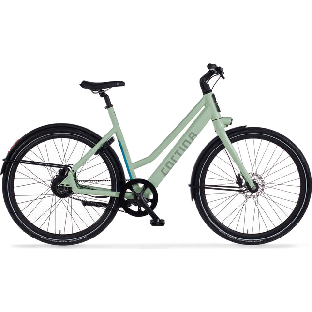 kleur:Pastel Green Matte