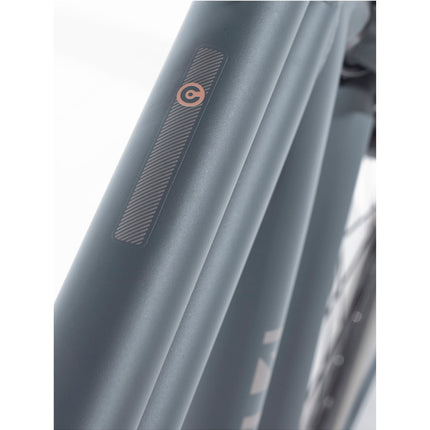 Cortina U4 Transport ND7 Heren 2025 - Mouse Grey Matte