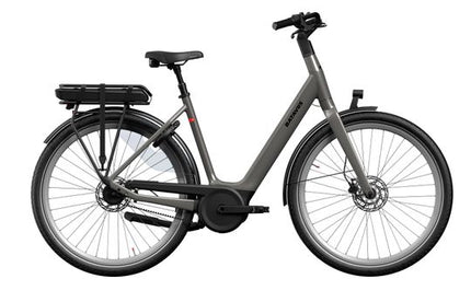 DAMES Grijs 53cm