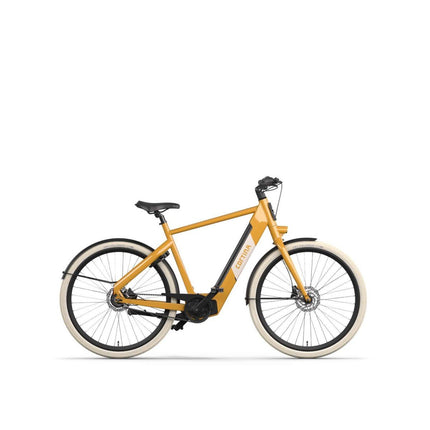 CORTINA E-Blau HEREN Mustard Yellow 61cm 2026