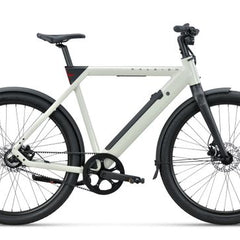 Collection image for: Raleigh