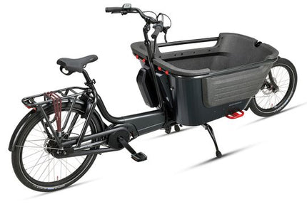 Batavus Fier 2 Flex Accu 2022