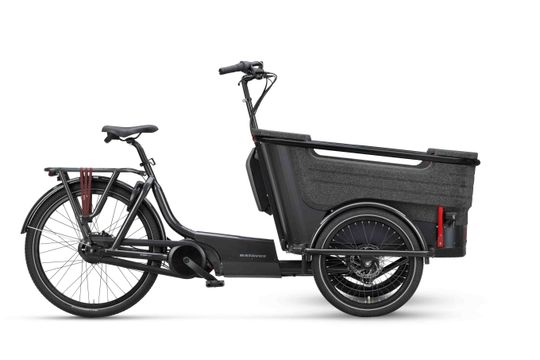Batavus Fier 3 Flex Accu 2022