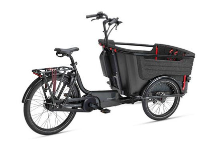 Batavus Fier 3 Enviolo Flex Accu 2022