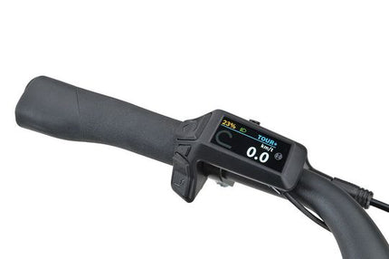 Batavus ALTURA POWER PRO EXCLUSIVE DK Dames GREY TURQUOISE GLOSSY Altura PT Pro Exclusive DK (Gray Turqoise Gloss)46