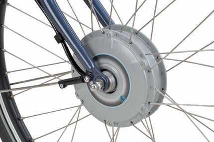 Batavus Entree E-Go Flex Accu Uni 2022