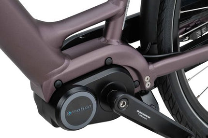 Finez E-Go Flex Accu Low Entry Sangria-Mat 2022