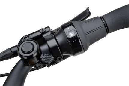 Batavus Altura E-Go Power Pro BES2 Flex Accu Dames 2023 - Oker Mat