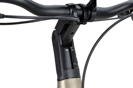 Batavus Finez E-Go Power BES3 Flex Accu Dames 2024 - Champagne Goud