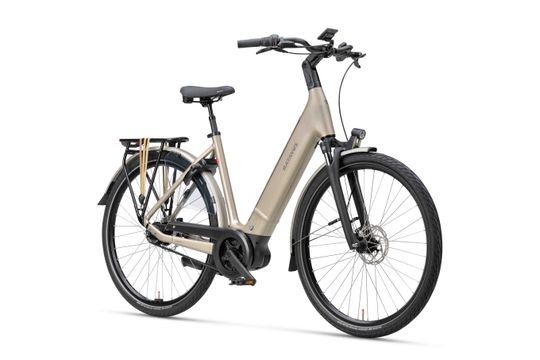 extra:Champagne Goud Glans