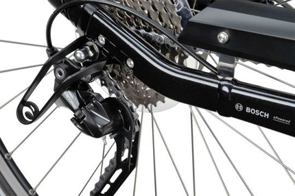 Batavus Finez E-Go Power Sport BES3 Flex Accu Heren 2025 - Zwart Glans