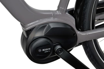 Altura E-Go Bes3 Flex Accu Grijs Glans Heren 2024