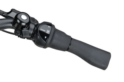 Altura E-Go Bes3 Flex Accu Grijs Glans Heren 2024